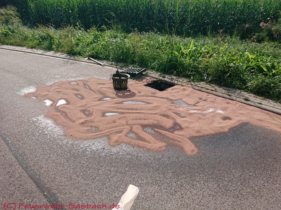 Bild: IMG-20210817-WA0010.jpg