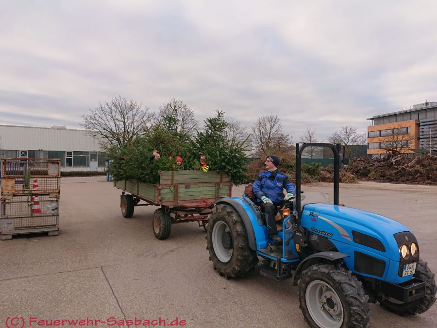 Weihnachtsbaumaktion