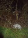 DSC01837.JPG